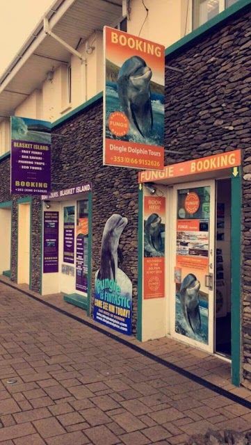 Fungi the Dingle Dolphin